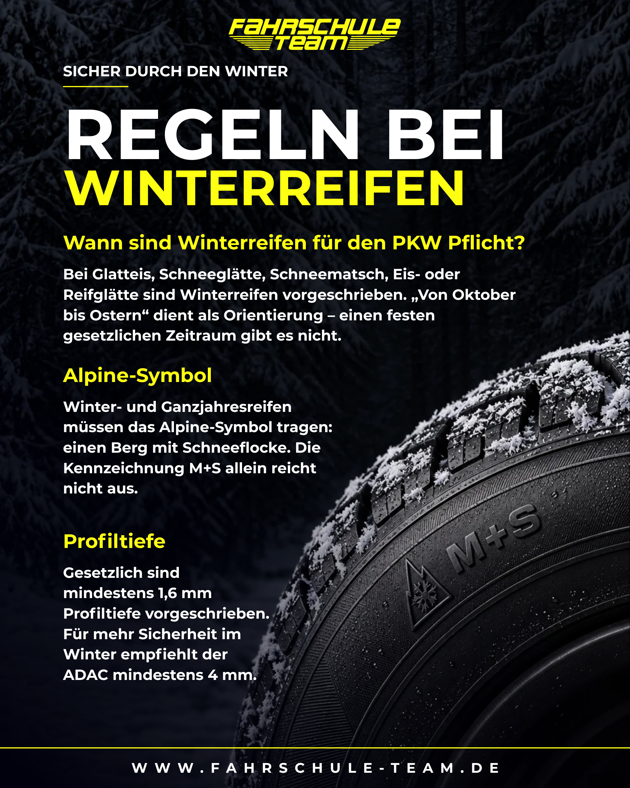 Kopie von Kopie von Fahrschule Team Beiträge